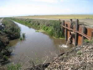 Delta Drainage Canal 04-2008 smaller