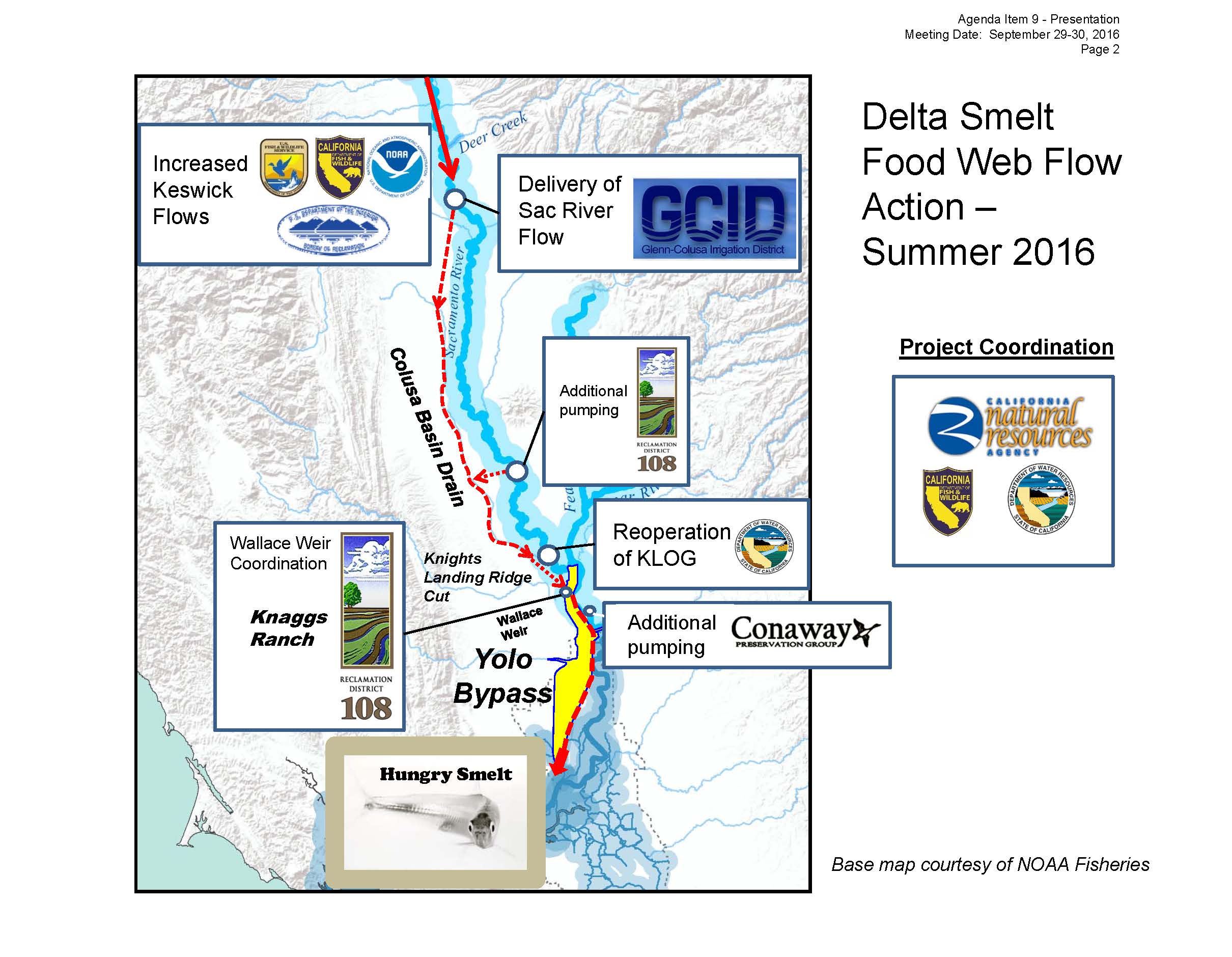 DELTA STEWARDSHIP COUNCIL Update on the Delta smelt resiliency strategy MAVEN'S NOTEBOOK