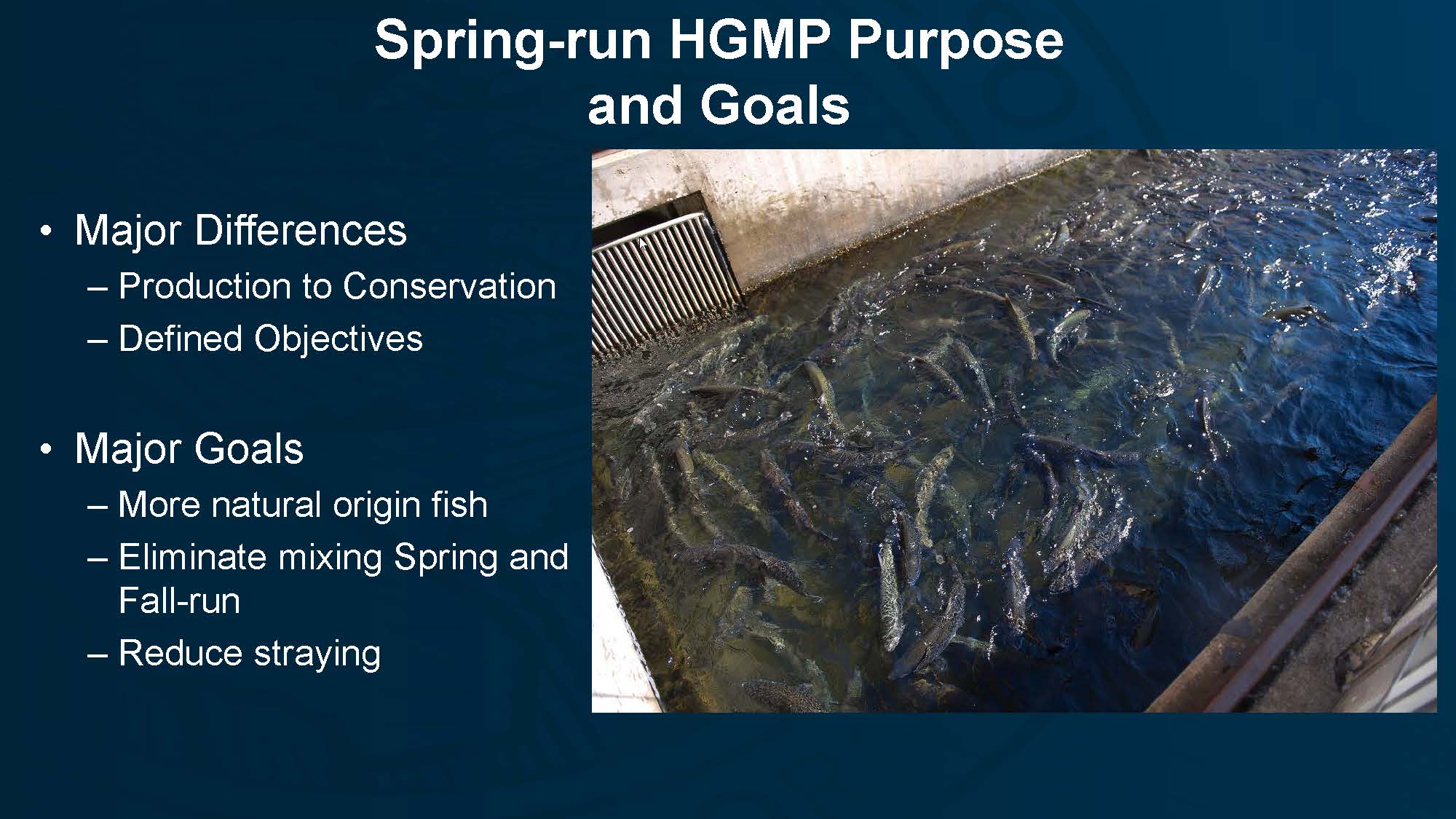 CWC FIsh Hatchery PPT_Page_18 MAVEN'S NOTEBOOK Water news