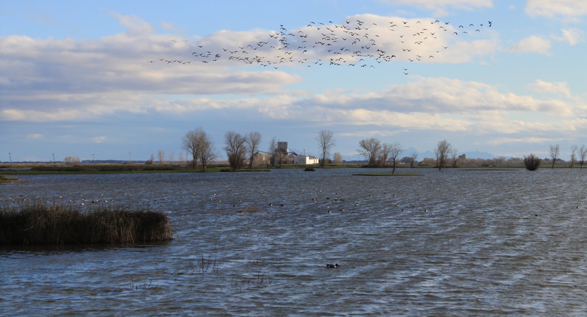 DAILY DIGEST, weekend edition Parts of California get a White