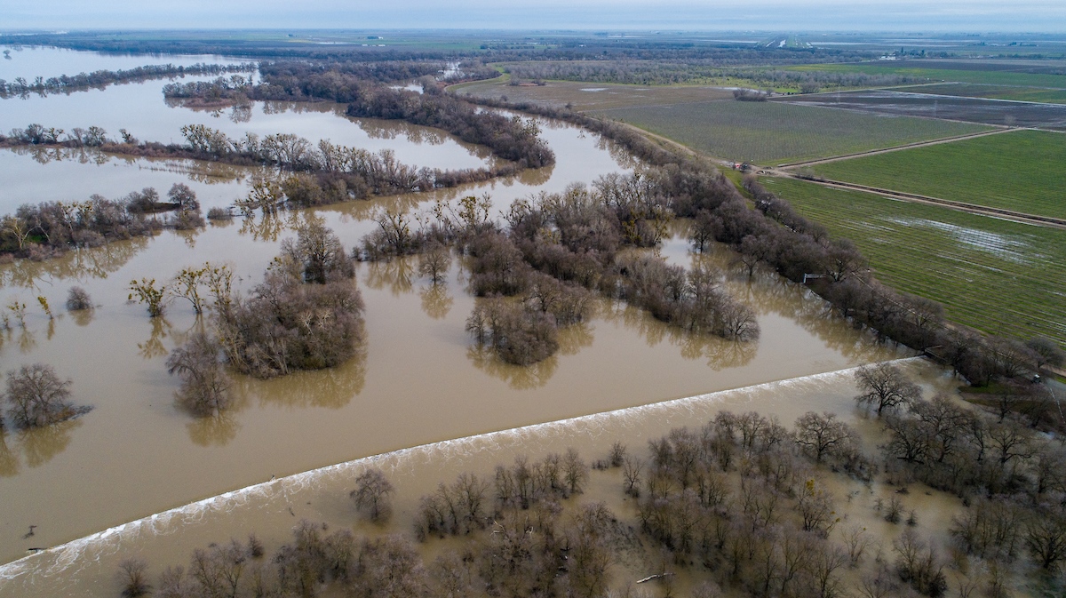 CA WATER COMMISSION Update on the Yolo Bypass Salmonid Habitat