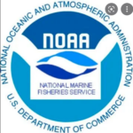 NOAA Fisheries