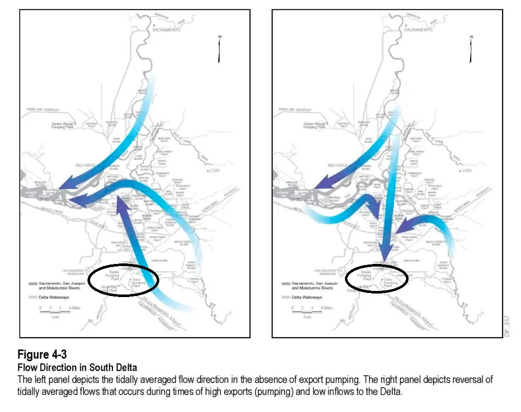 A graphic showing how flows in the Delta change when the export pumps in the South Delta are turned on.