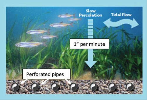 A graphic of how a fish-friendly diversion using an infiltration gallery works.