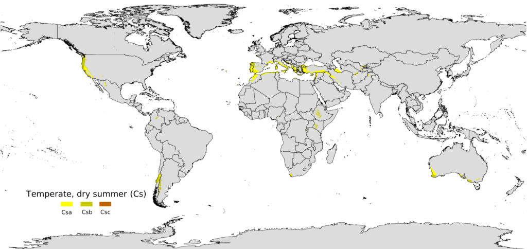 A map showing Mediterranean climates around the world.