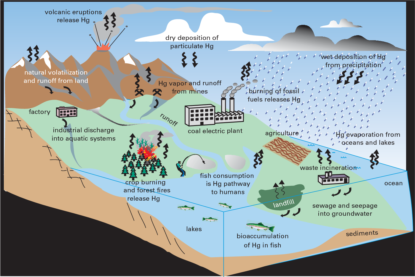 EXPLAINER: Mercury contamination in California's waterways ~ MAVEN'S  NOTEBOOK | California Water News Central