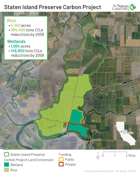 A map showing the mix of rice fields and restored wetlands that will lower carbon emissions on Staten Island.