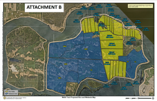 A map of Webb Tract, showing the proposed restoration and conversion to rice.