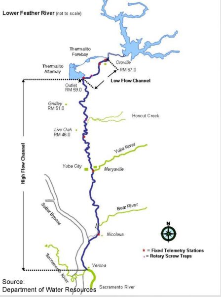 A map of the infrastructure at Oroville Dam and the Feather River, showing the low-flow channel where pulse flows would be provided.