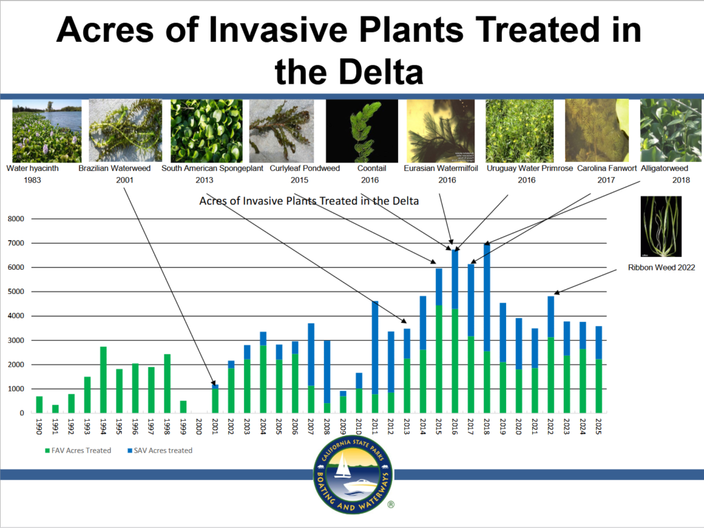 A chart showing the acres of invasive aquatic vegetation treated in the Delta.