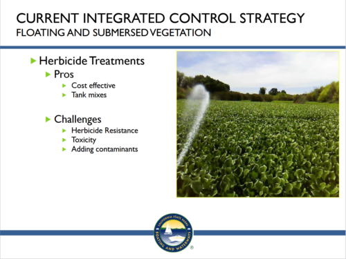 A slide summarizing the pros and cons of herbicide treatments for invasive aquatic vegetation in the Delta.