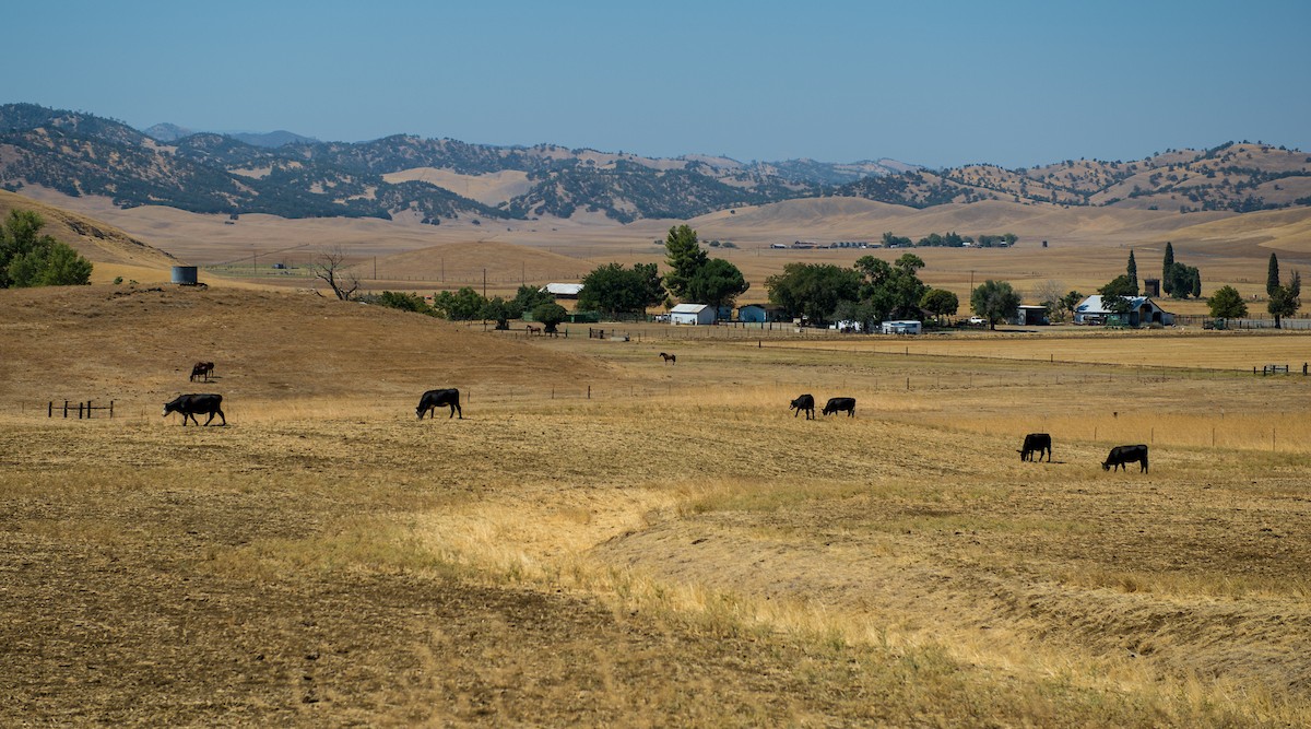 PRESS RELEASE: State Water Board issues water quality certification for proposed Sites Reservoir
